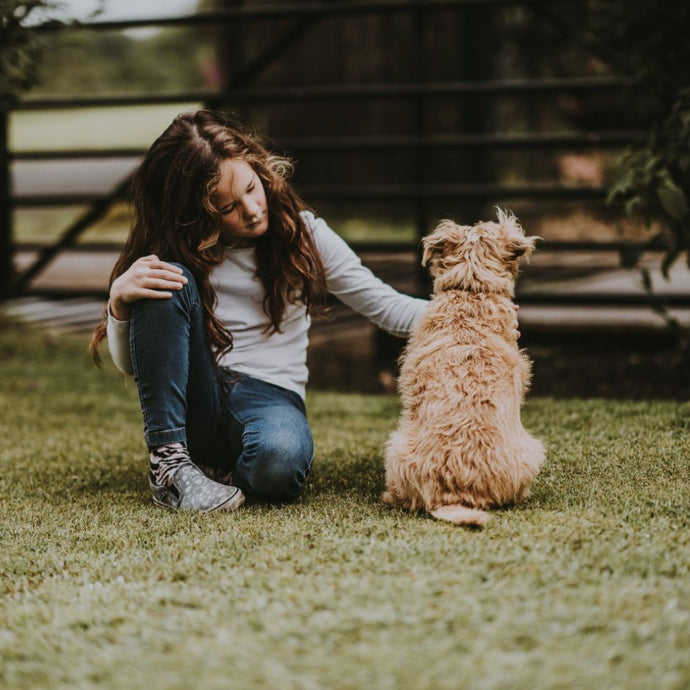 Mein Hund hat Angst - Was nun?